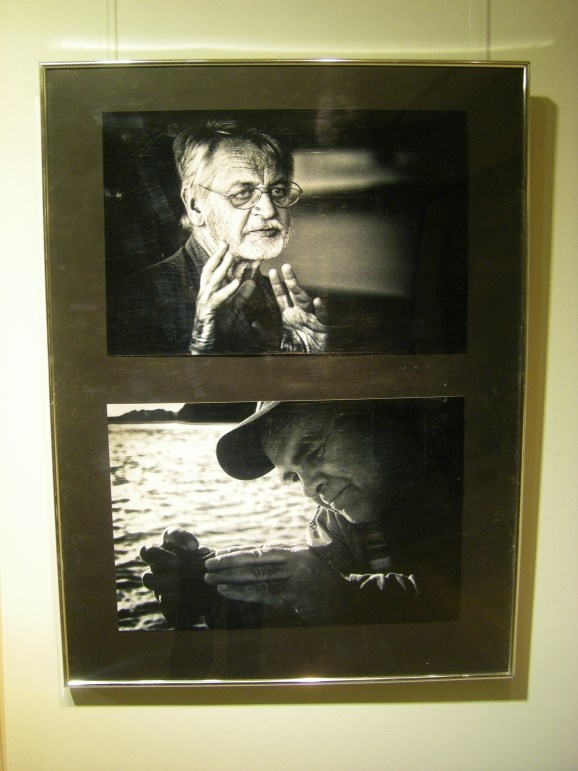 p31