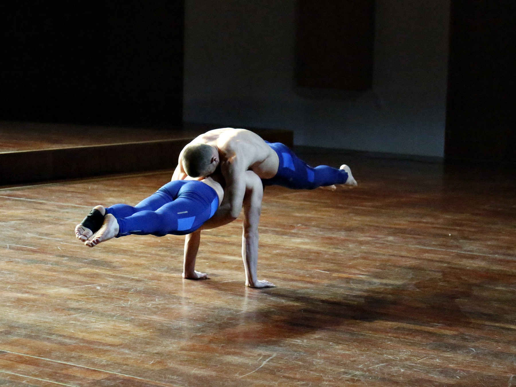 labum (56)