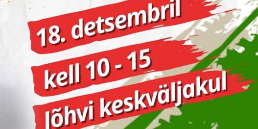 kodukale jõululaat3