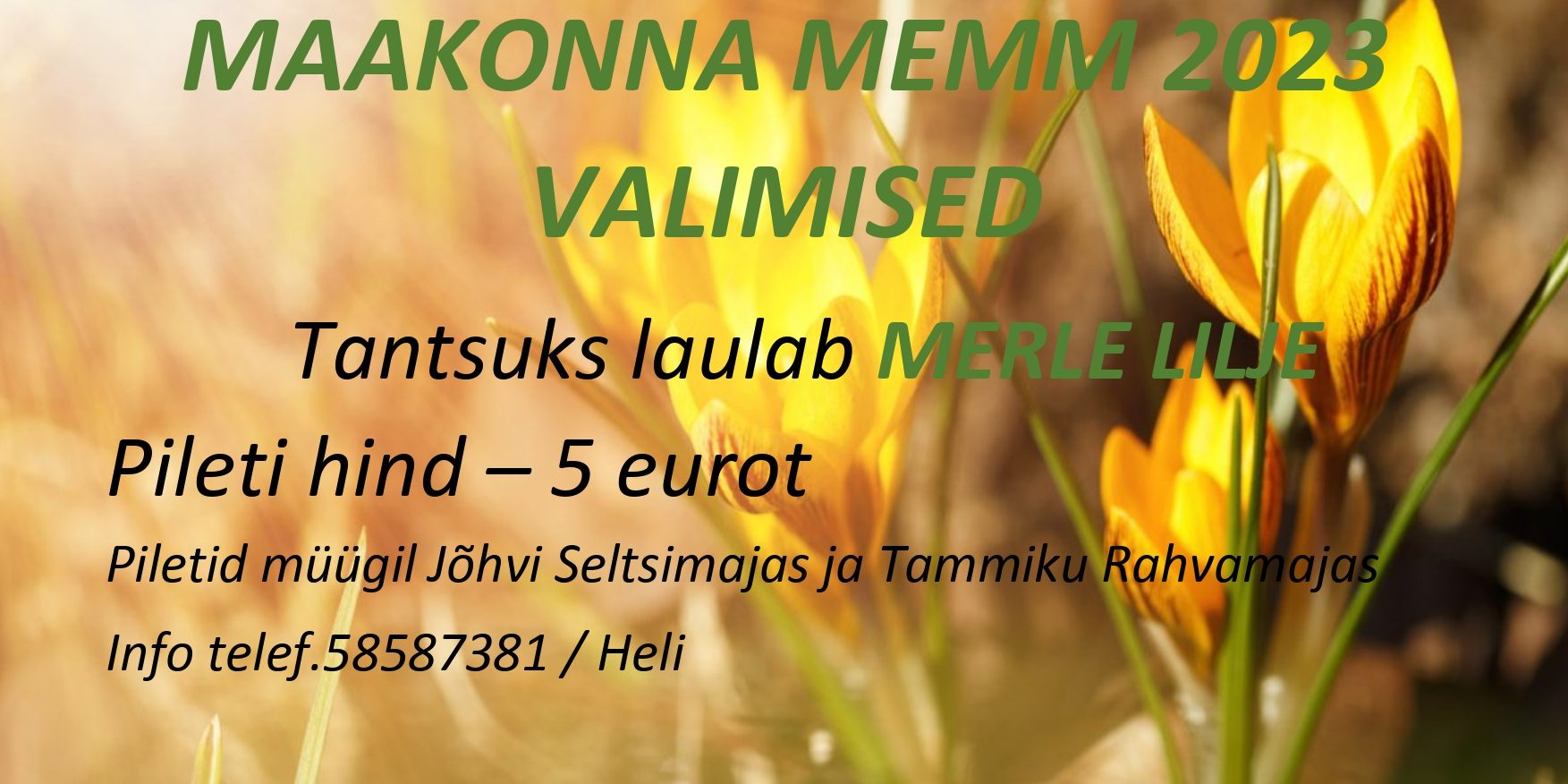 maakonna memm_page-0001