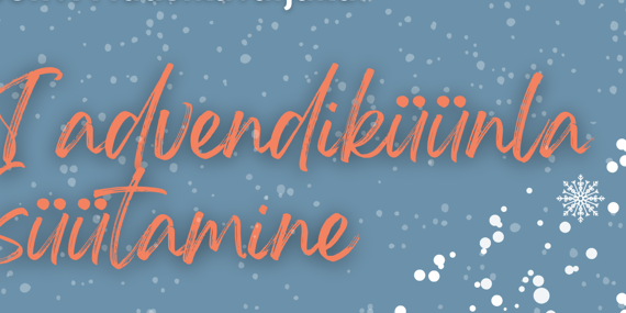 Kuvatõmmis 2023-11-14 105714