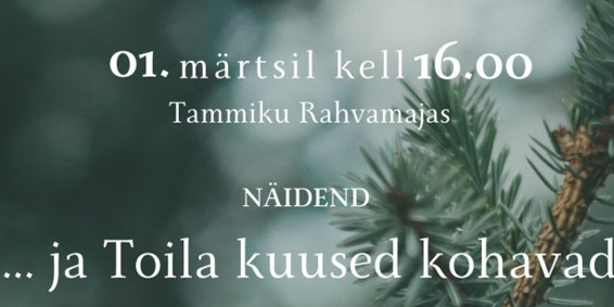 Kuvatõmmis 2025-02-05 154254